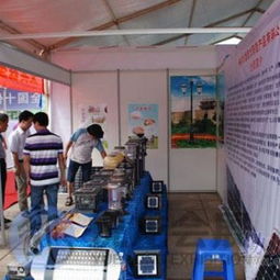 專業(yè)會(huì)議及展覽服務(wù) 南寧市悅龍會(huì)議展覽服務(wù)有限責(zé)任公司為東盟博覽會(huì)、廣西婚博會(huì)等展會(huì)提供標(biāo)準(zhǔn)展位一站式解決方案