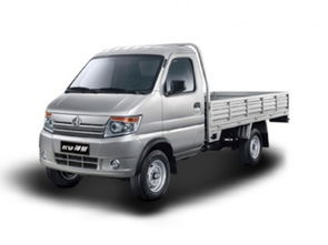 邢臺(tái)神騏T20 2018款 1.3L CNG載貨車標(biāo)準(zhǔn)型單排DAM13R 報(bào)價(jià)、降價(jià)趨勢(shì)與市場分析